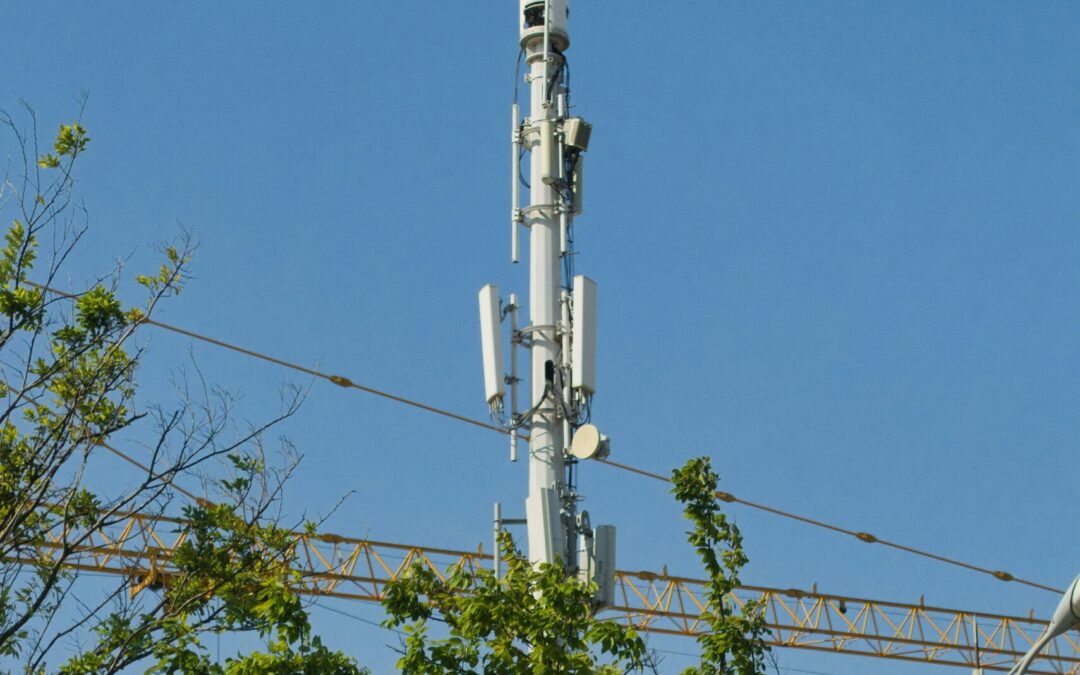 Tower Dumps and Area Searches (TDAS-FW)